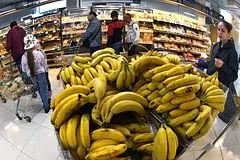 Ekvador zajavil o gotovnosti oprovergnut ljubye pretenzii k svoim bananam a3ffc45.jpg