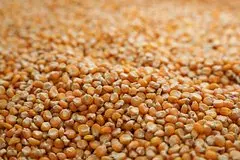 Kitajskie importery priostanovili postavki kukuruzy s ukrainy 870422e.jpg