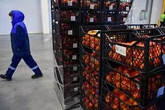 V rossii reshili borotsja s nelegalnoj zanjatostju 2a083ab.jpg