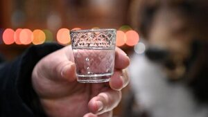 V rossii mozhet pojavitsja vodka oreshnik 11c4640.jpg