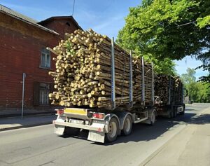 Obem perevozimyh lesomaterialov v rf vyros v 2024 godu f22eabe.jpg