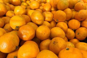 Kitaj zamenil dlja rossii mandariny iz marokko a157fe5.jpg
