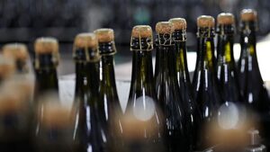 Rossijane stali chashhe pit igristoe vino 51aacd7.jpg